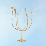 candelabra - brass misty large