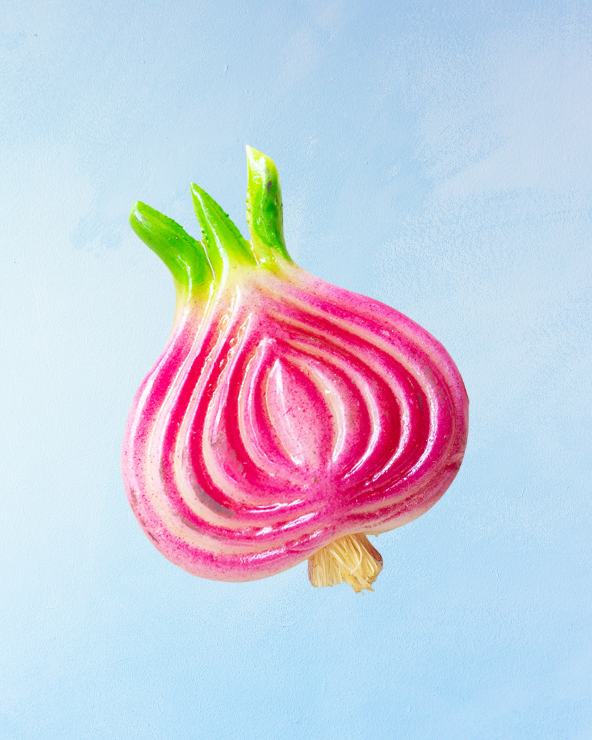 magnet - onion