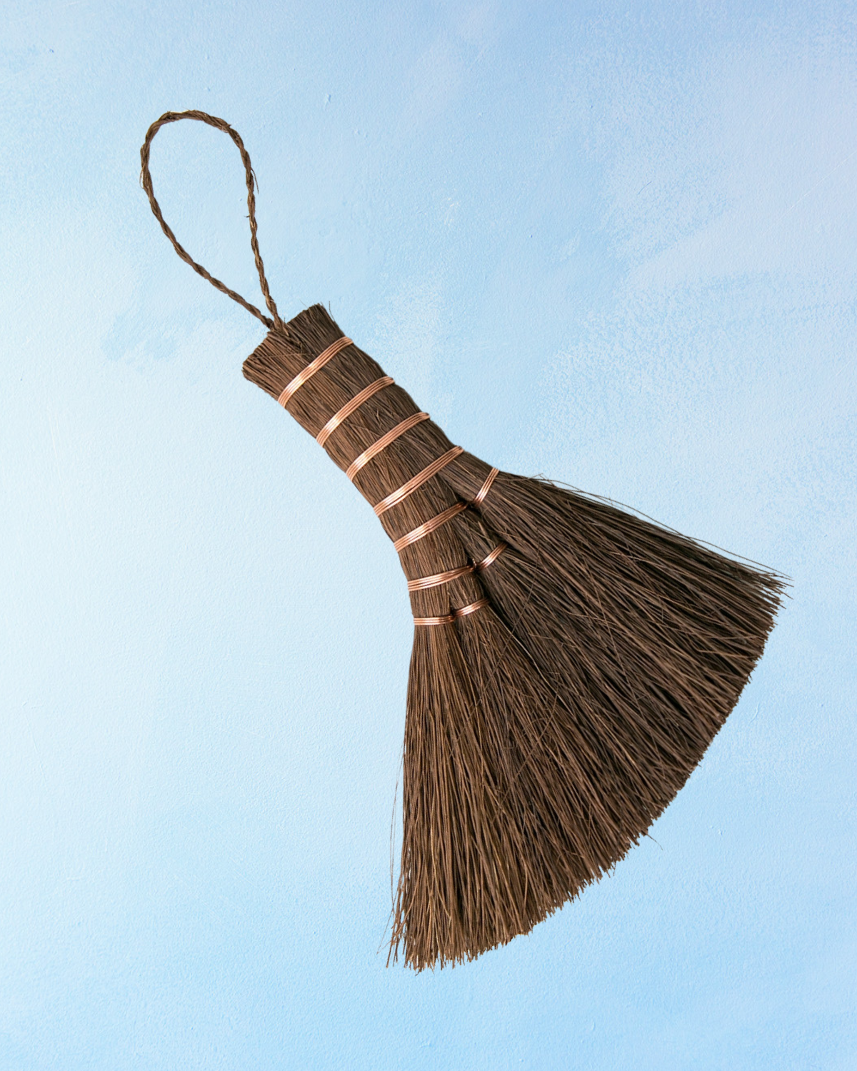 brosse - palmier naturel