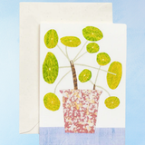 greeting card - bobble plant