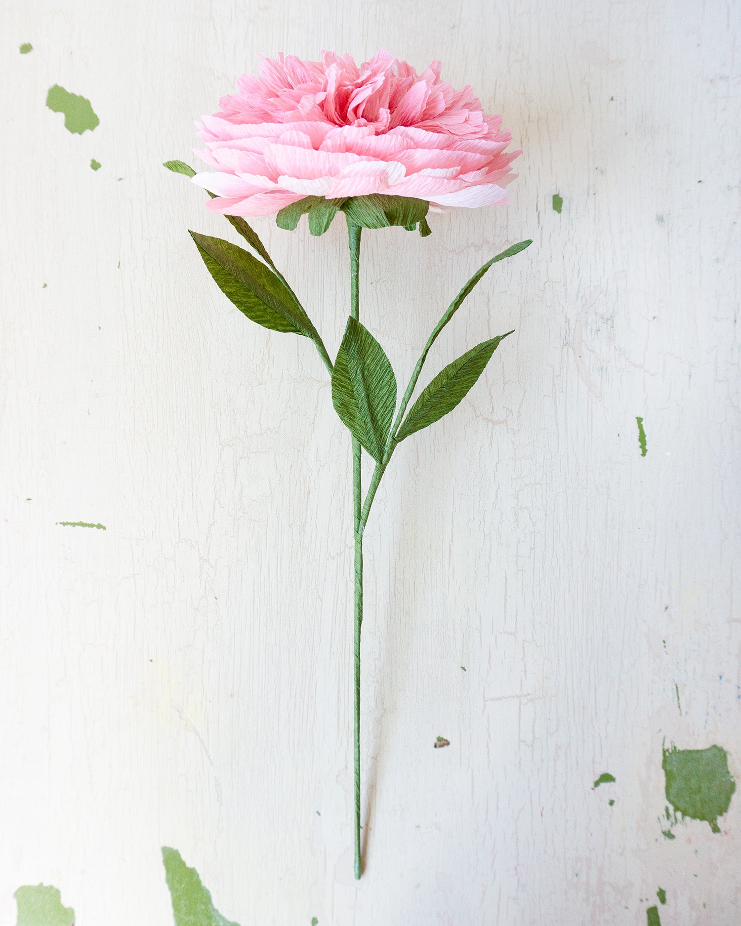 handmade paper flower - blush peony
