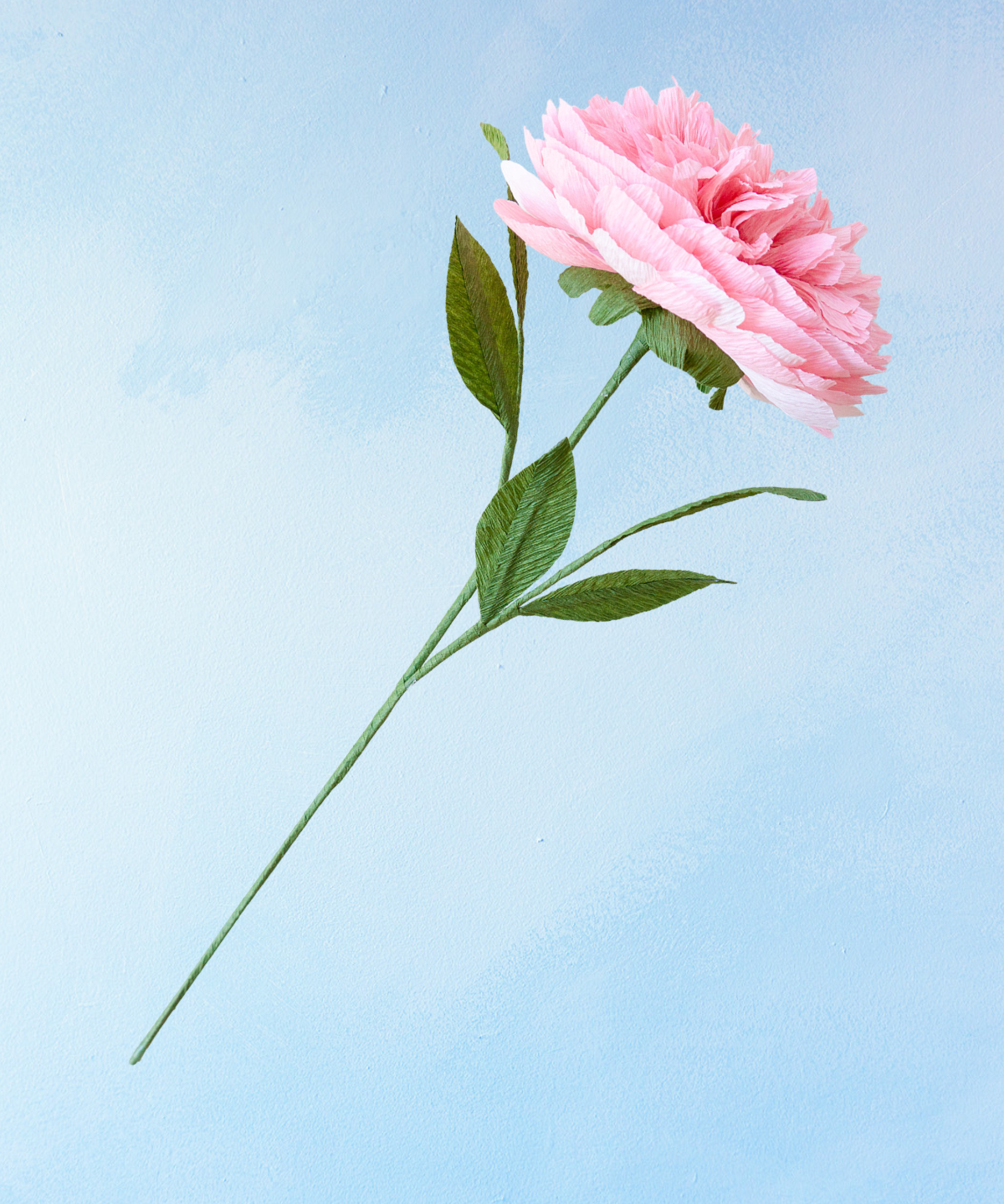 fleur en papier faite à la main - pivoine rose poudré