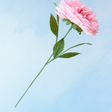 fleur en papier faite à la main - pivoine rose poudré
