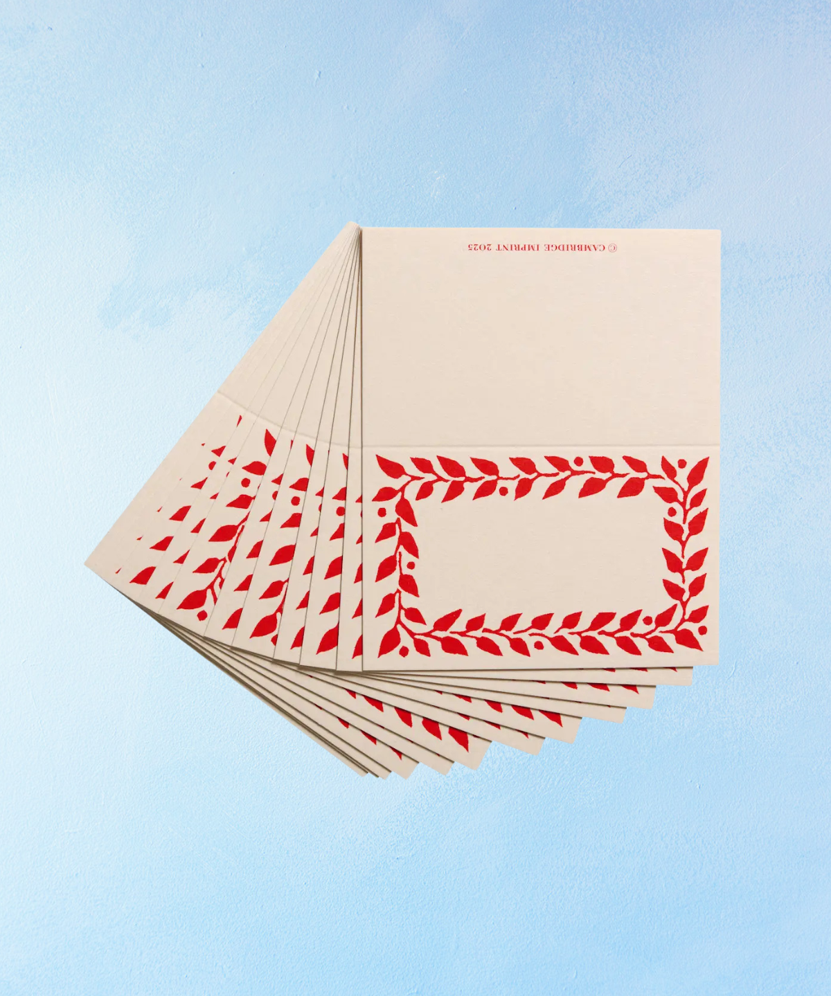 place cards - set of 12 (assorted colours)