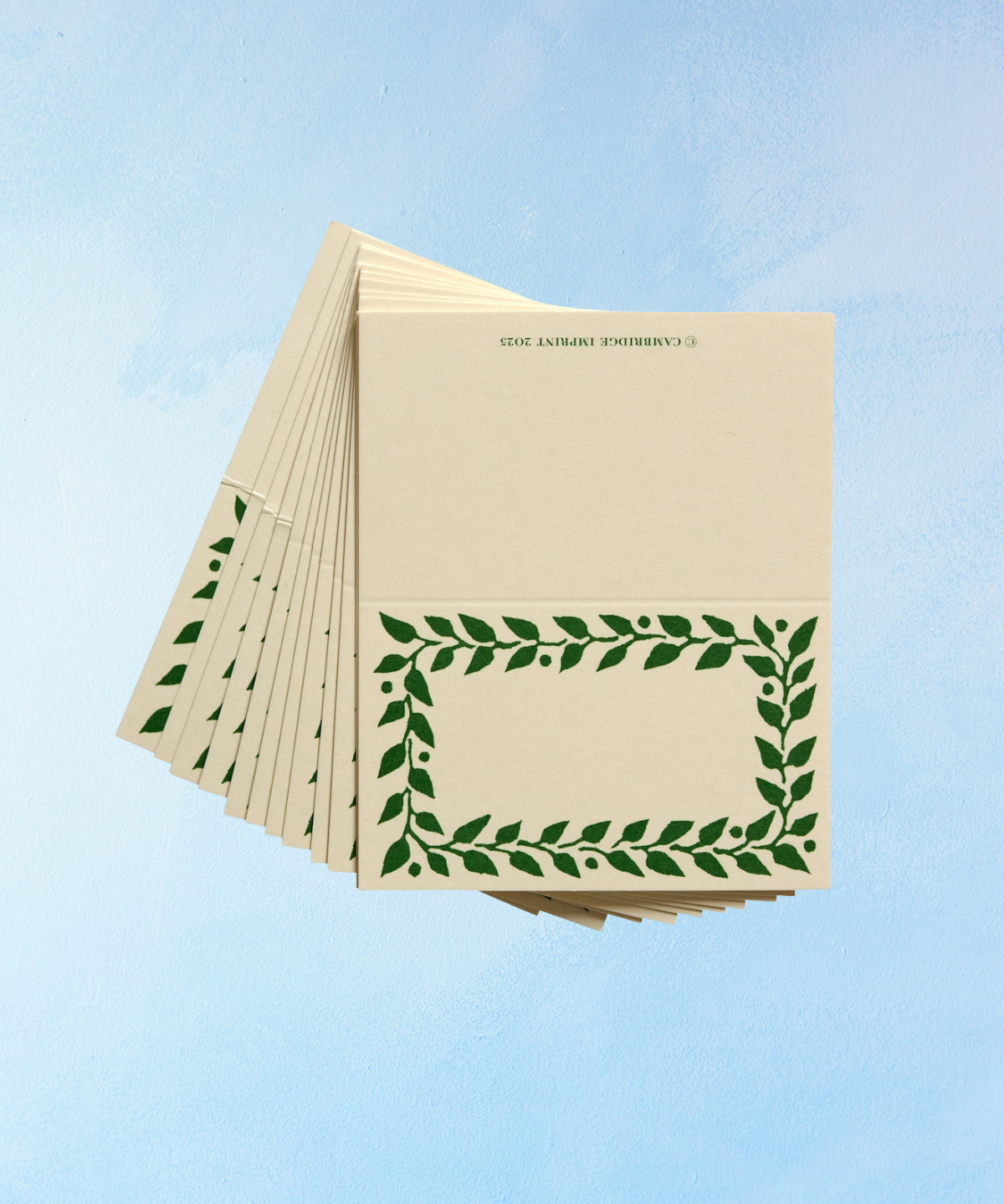 place cards - set of 12 (assorted colours)
