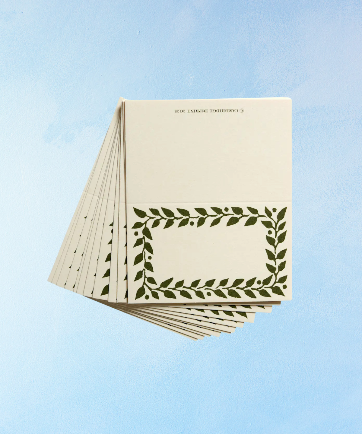 place cards - set of 12 (assorted colours)