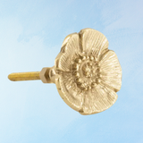 furniture knob -brass:  mia poppy