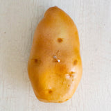 candle - food - potato