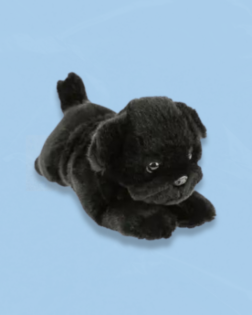 puddles black pug puppy