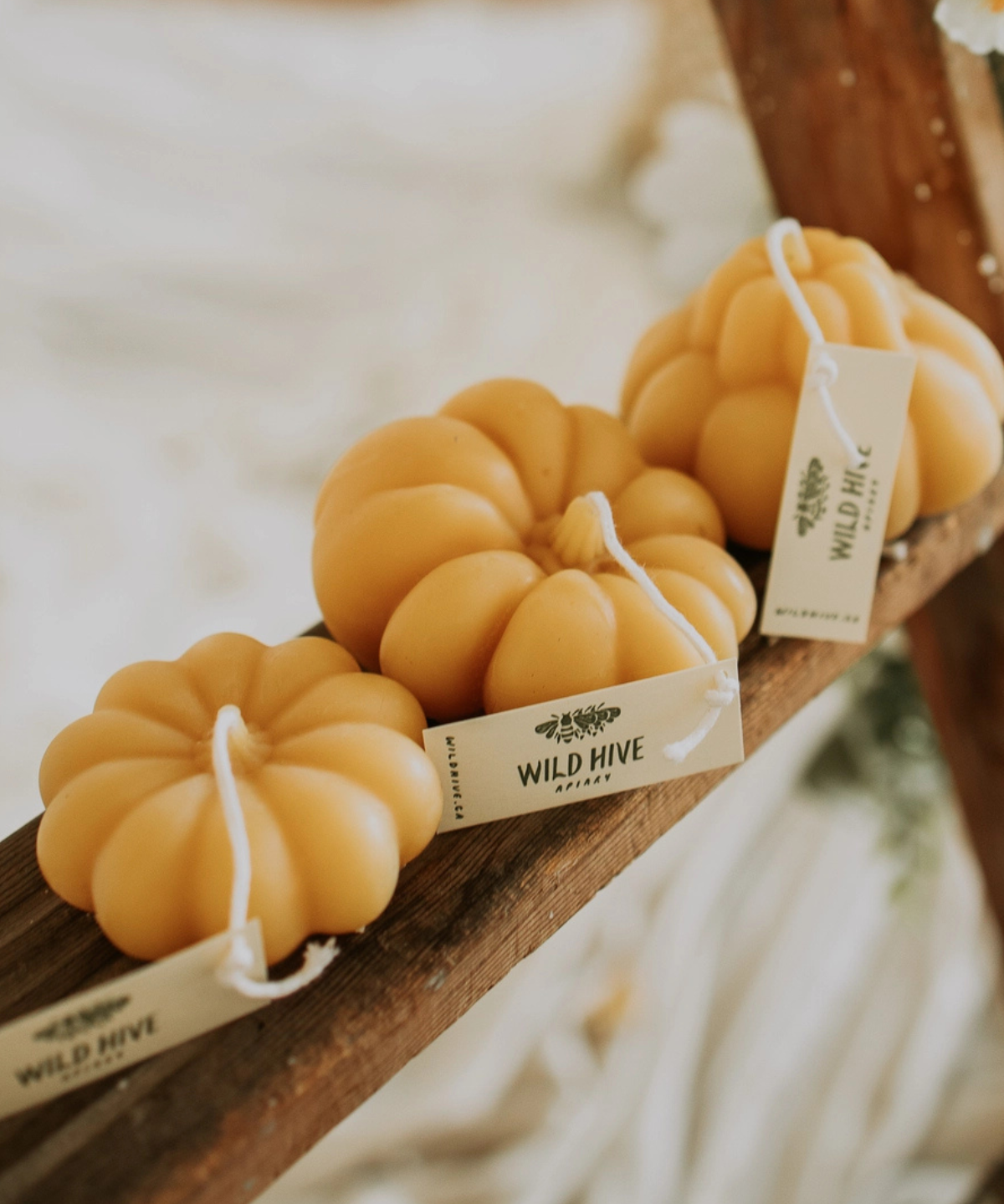 candle - beeswax pumpkins (multiple styles)