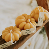 candle - beeswax pumpkins (multiple styles)