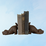 serre-livres - chiots