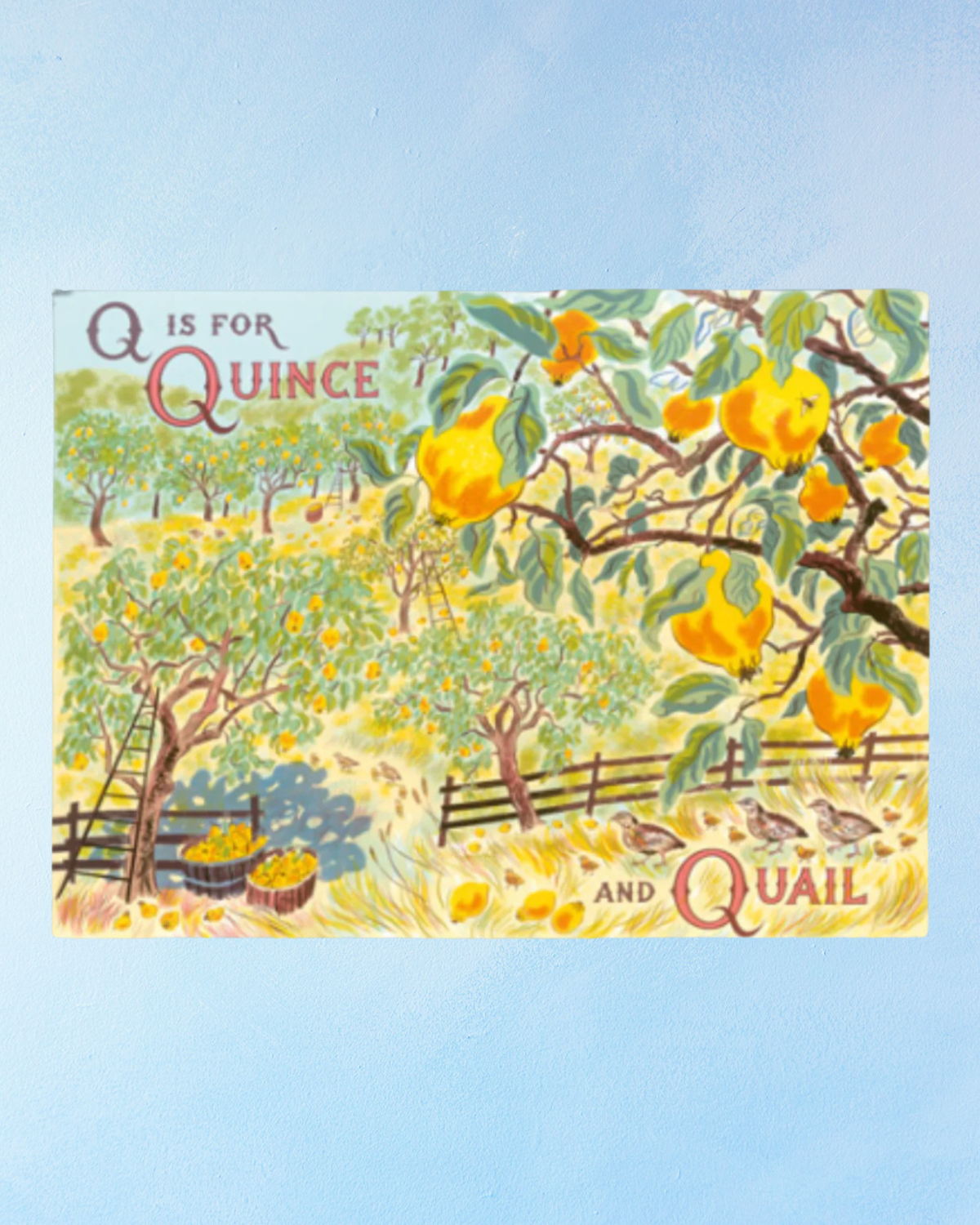 greeting card - q is for quince and quail