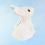 savings bank - rabbit