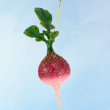 ornament - farmers market radish
