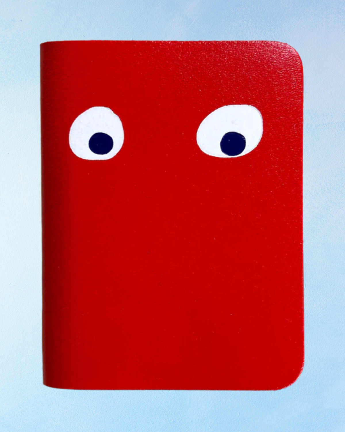 mini journal - googly eye (assorted colours)