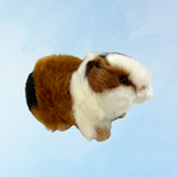 stuffed toy - red and white guinea pig
