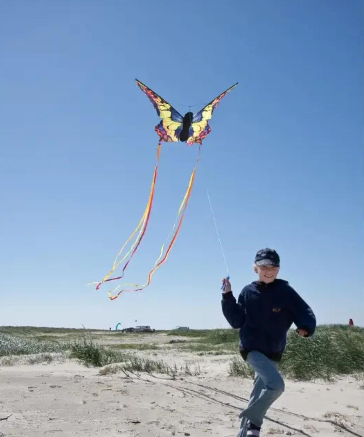 toy - butterfly kite - swallowtail
