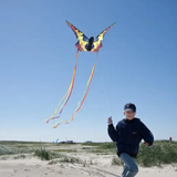 toy - butterfly kite - swallowtail
