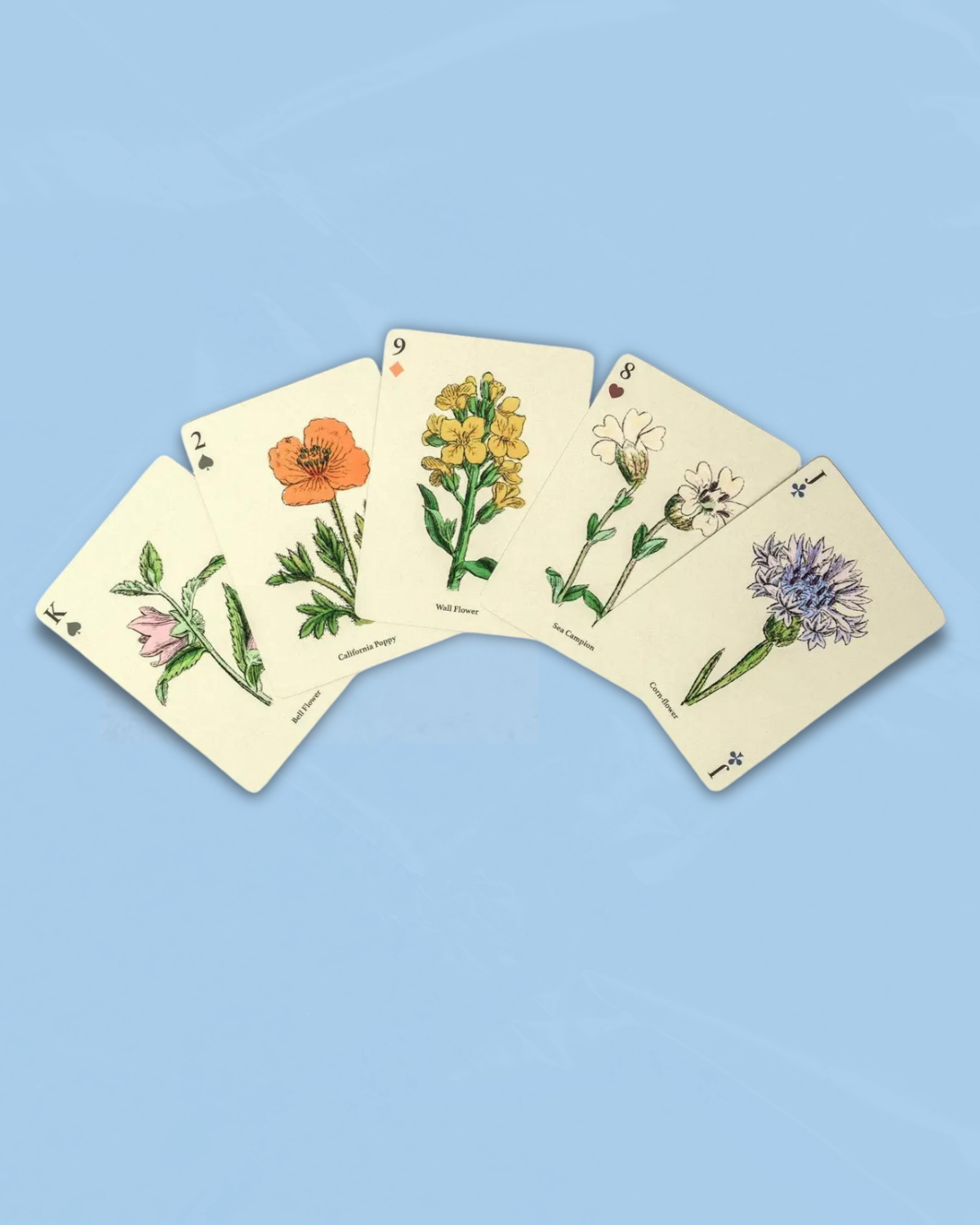 game: playing cards - watercolour wildflowers