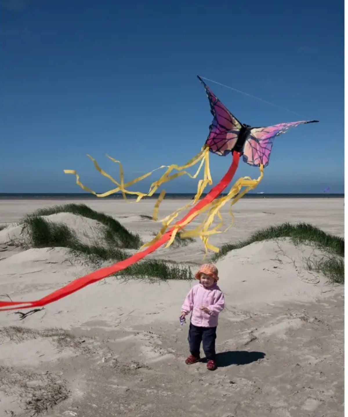 toy - butterfly kite - ruby