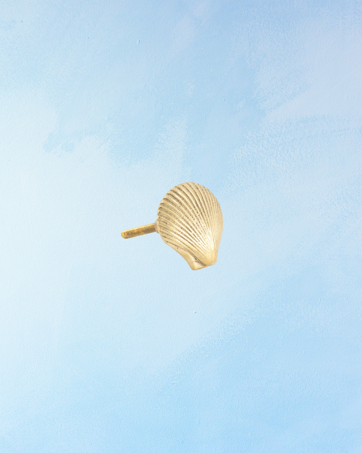 furniture knob - abbey shell