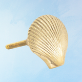 furniture knob -brass:  abbey shell