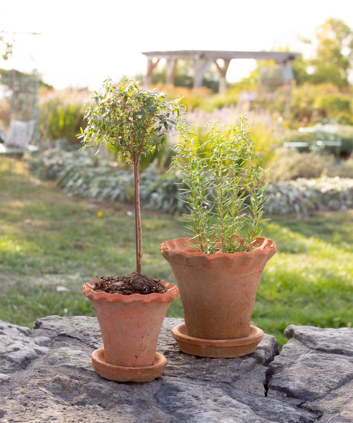 planter - redstone frilly edge (multiple sizes)