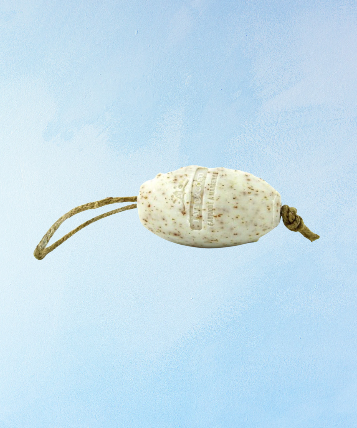 Slide image