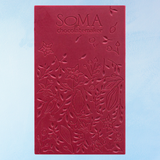 chocolate - raspberry