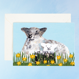 greeting card - spring lamb