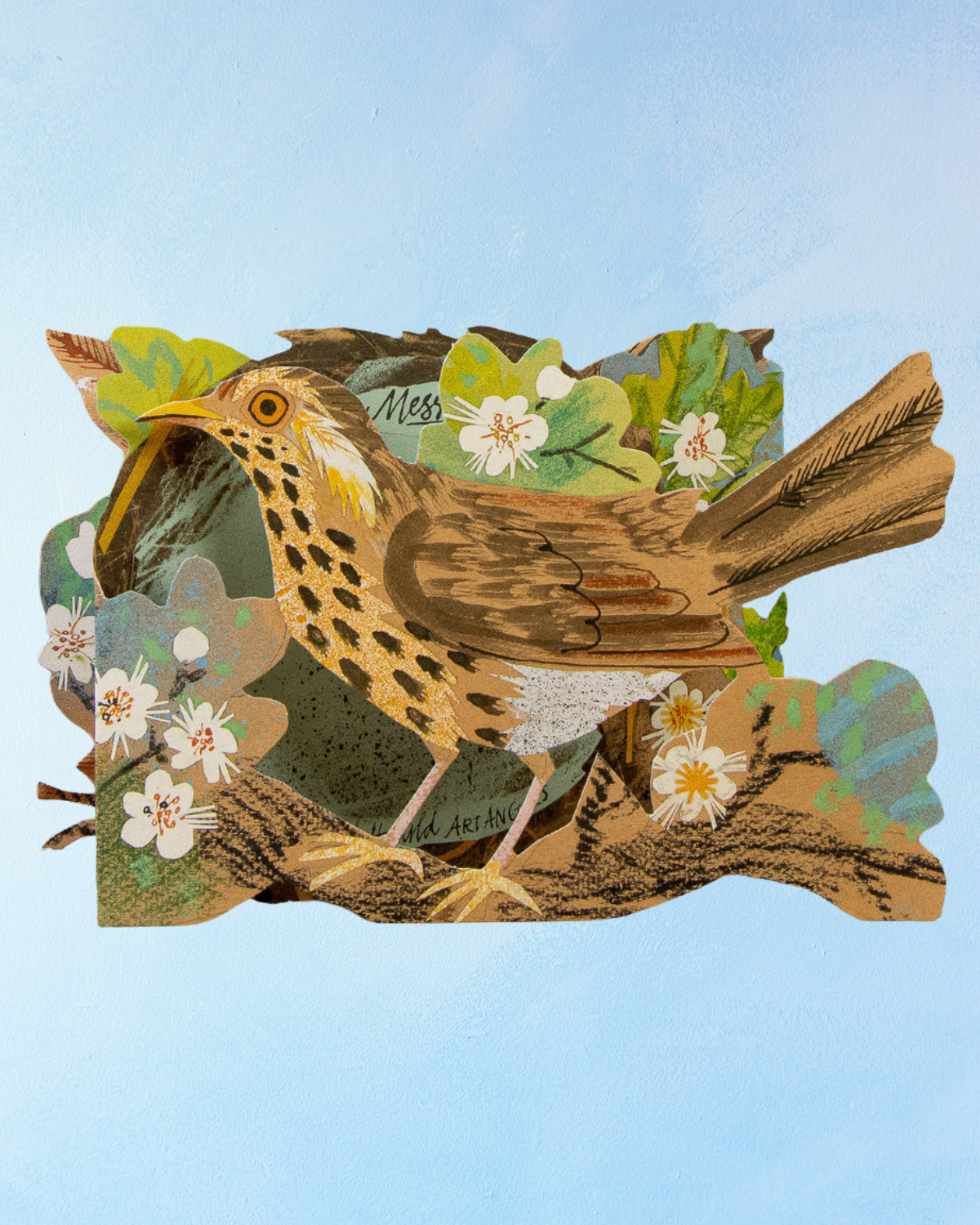greeting card - bird nest concertina