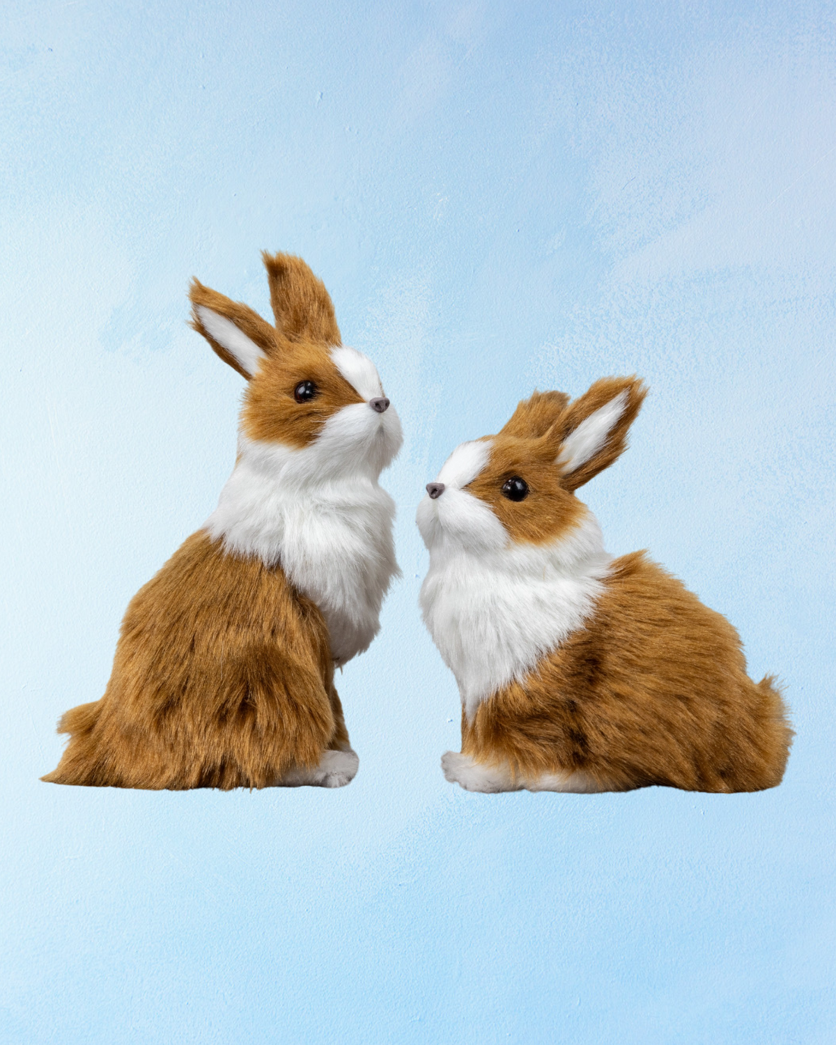 bunny - assorted styles