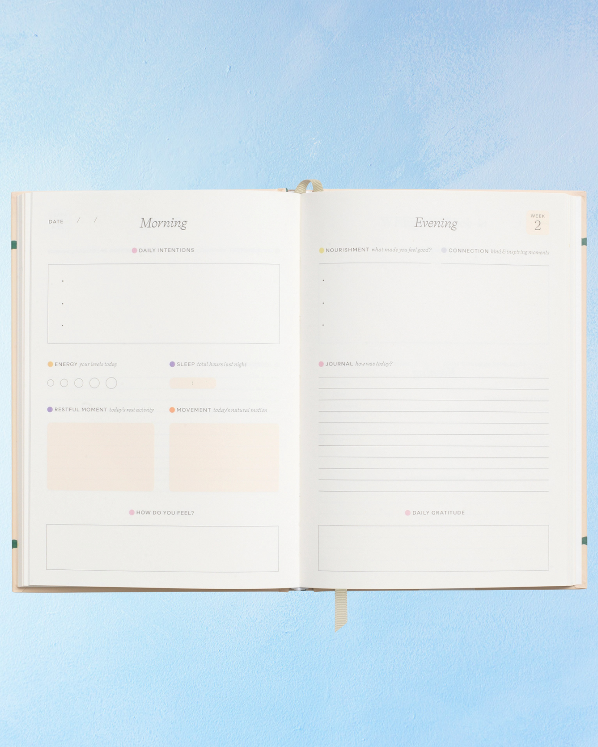 notebook - wellness journal