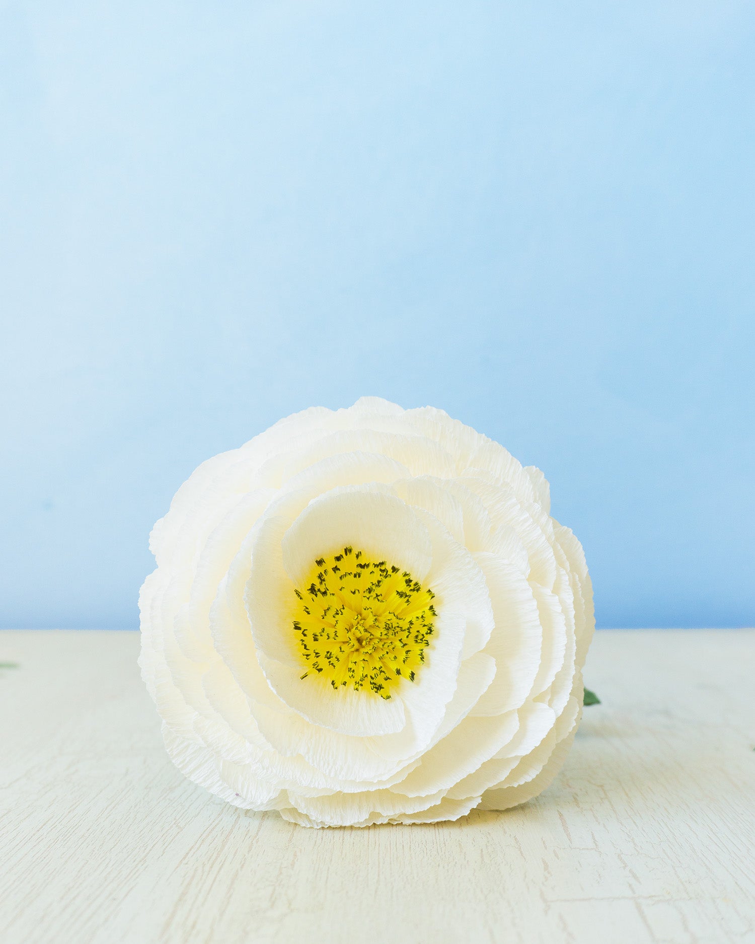 handmade paper flower - white peony