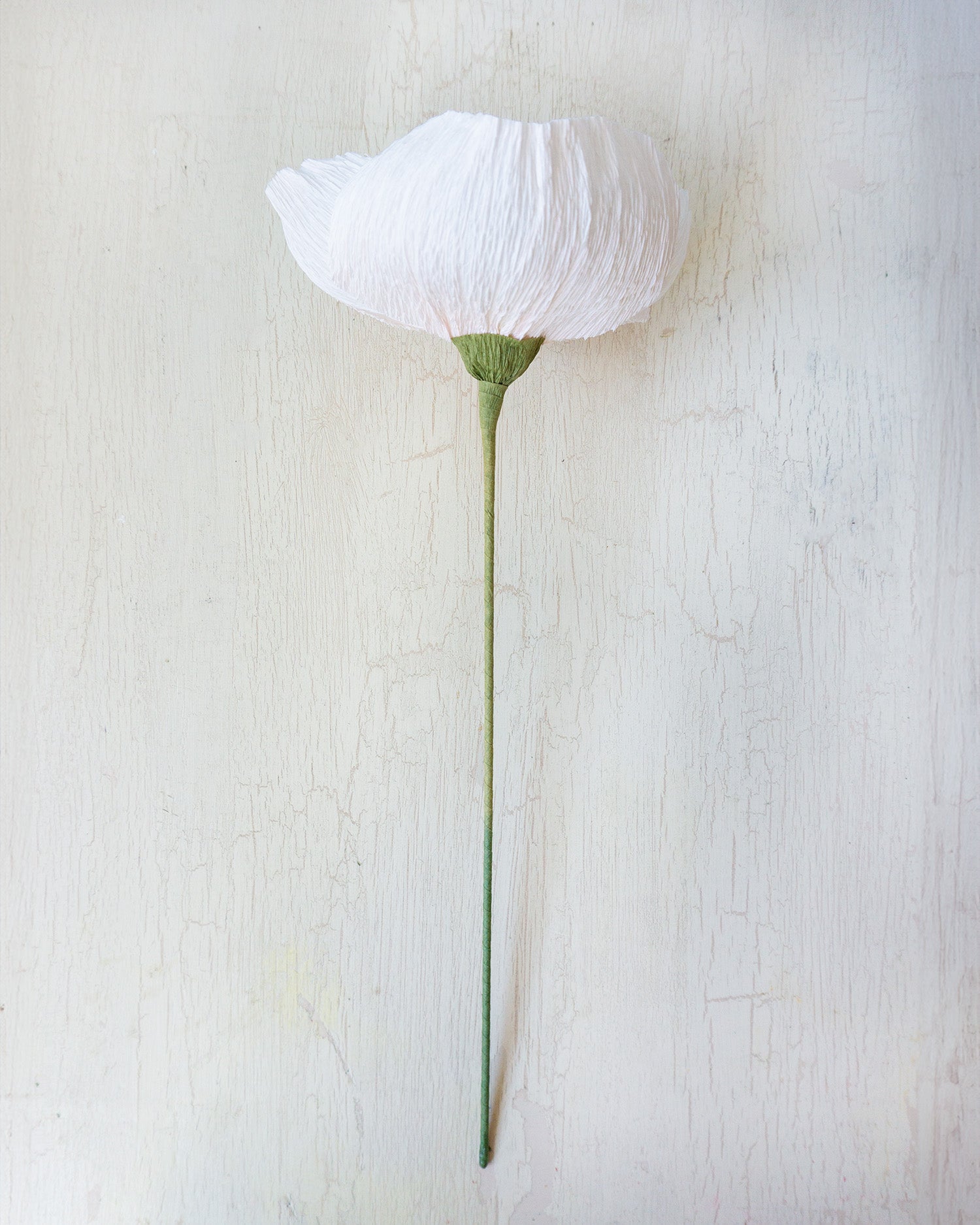 handmade paper flower - white poppy