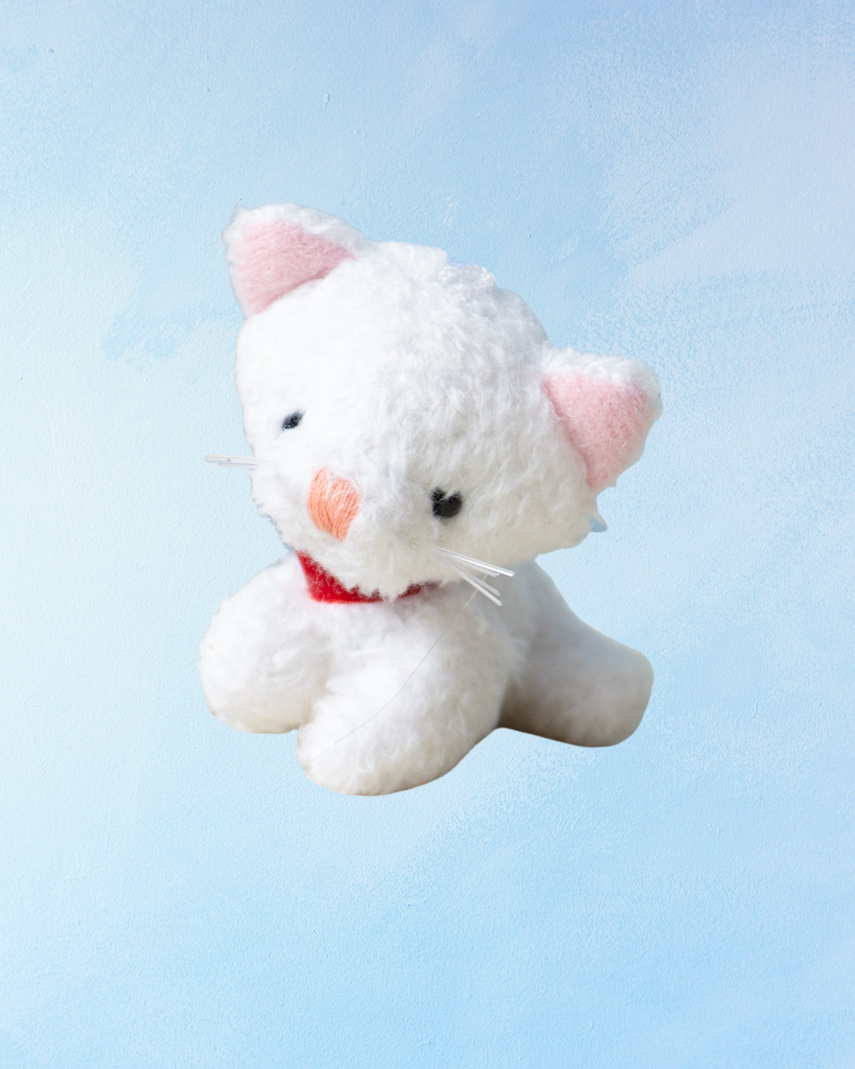 charm - white kitten