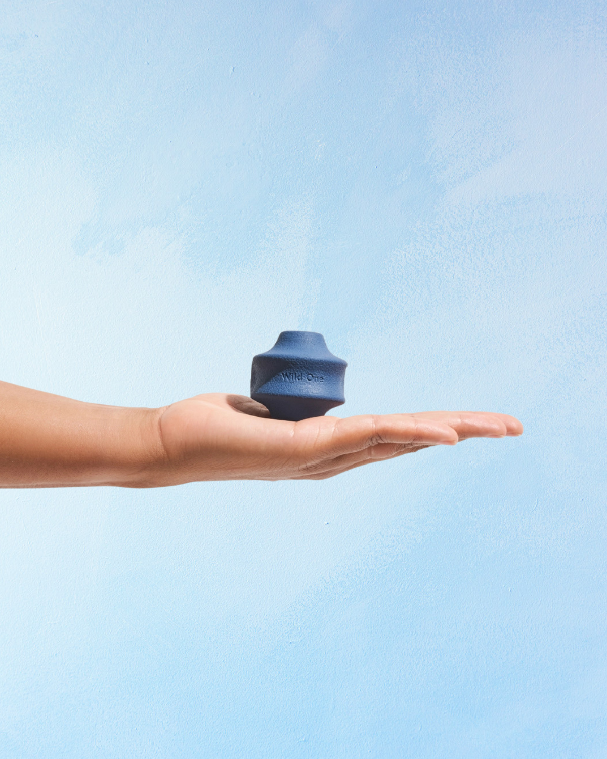 dog toy - twist toss