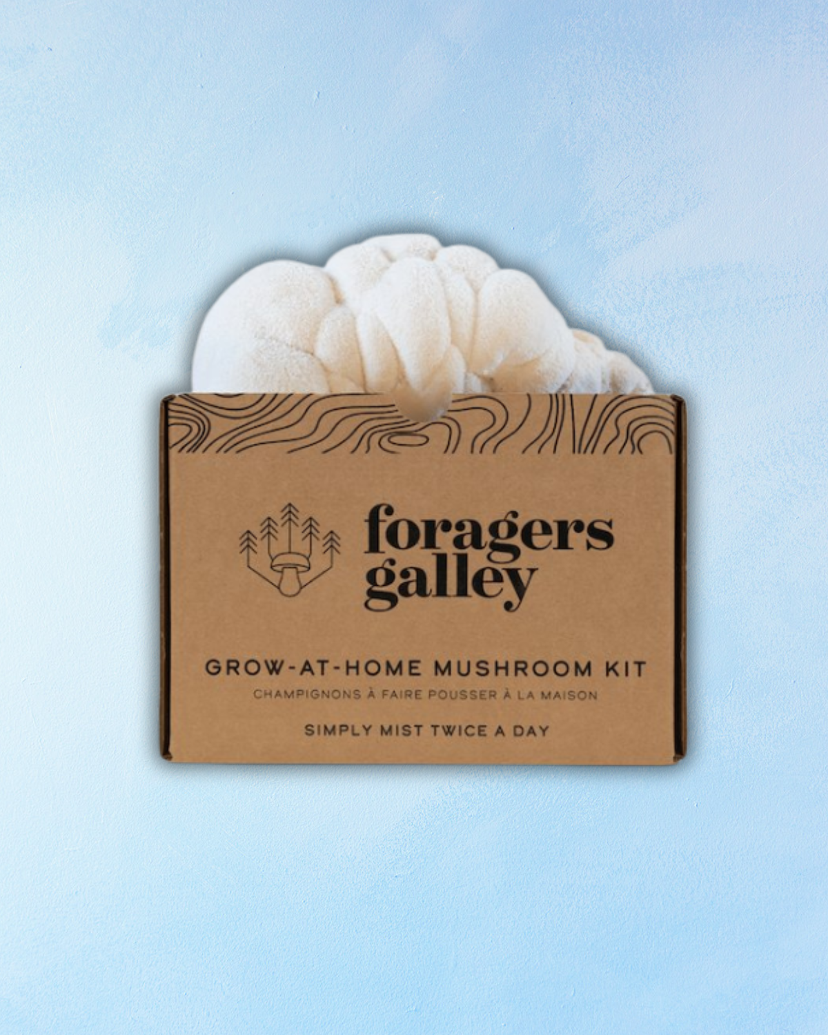 mushroom grow kit - lion's mane