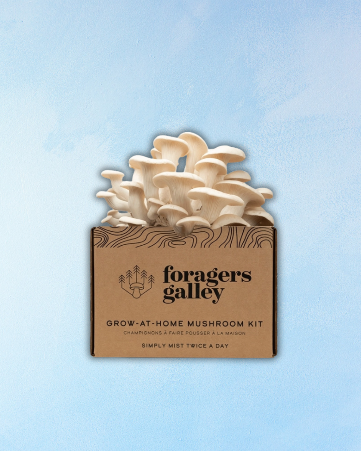 mushroom grow kit - snow oyster