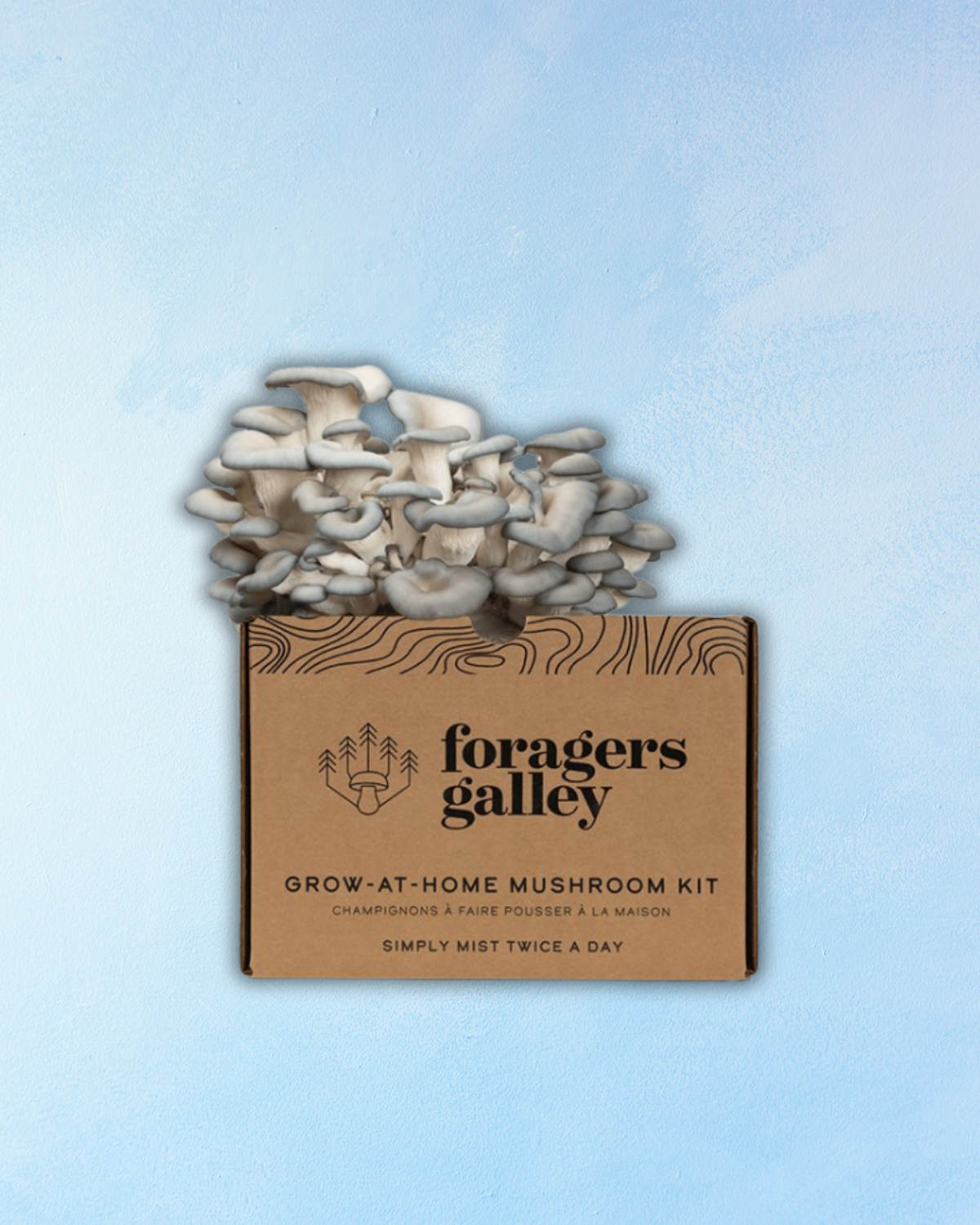 mushroom grow kit - blue oyster