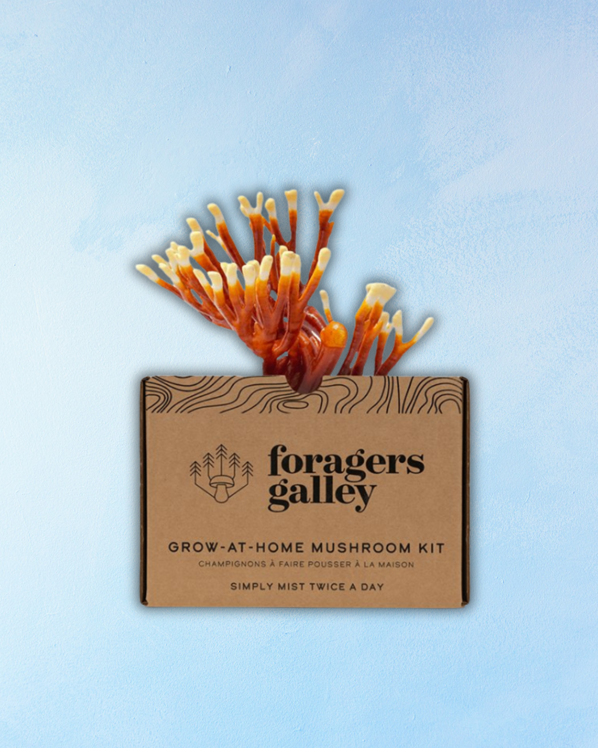 mushroom grow kit - antler reishi