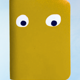 mini-journal - yeux mobiles (couleurs assorties)