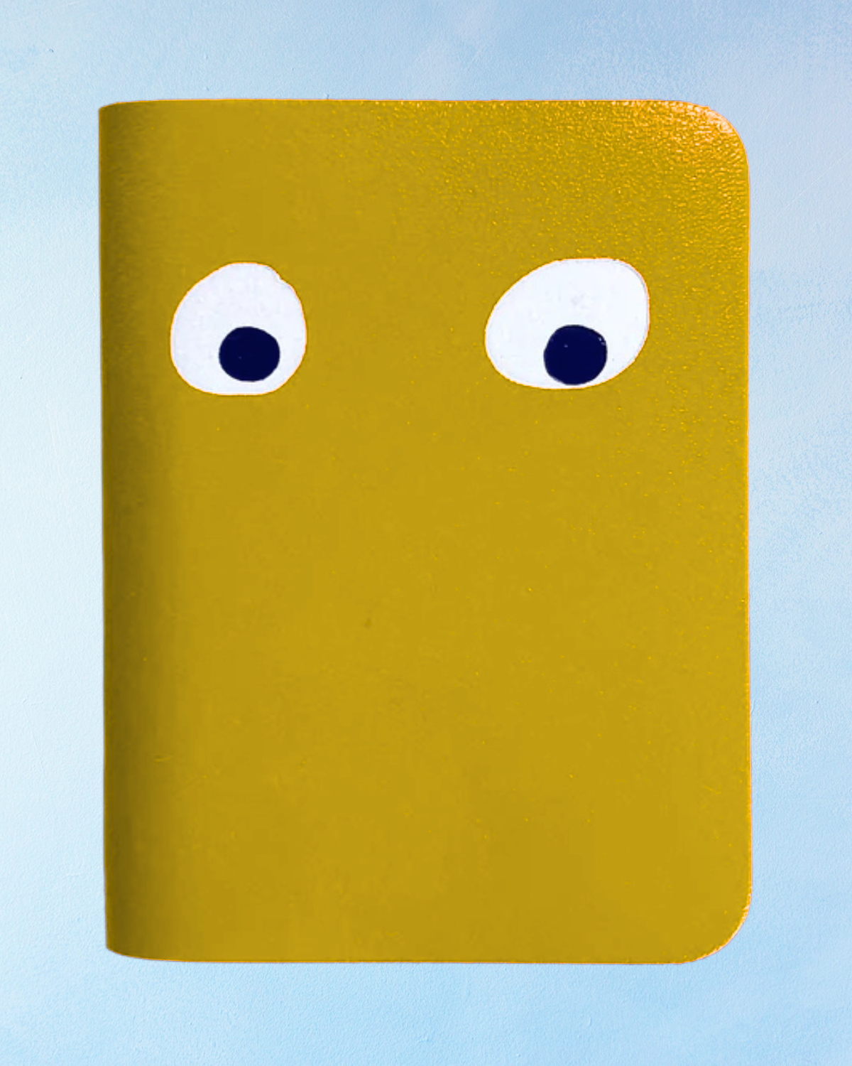 mini journal - googly eye (assorted colours)