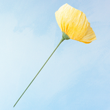 handmade paper flower - yellow poppy