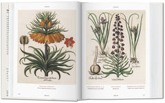 A full spread from Basilius Besler's Florilegium. The Book of Plants.