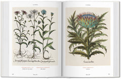 A full spread from Basilius Besler's Florilegium. The Book of Plants.