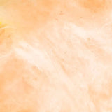 Close up on Flossie cotton candy in tangerine 