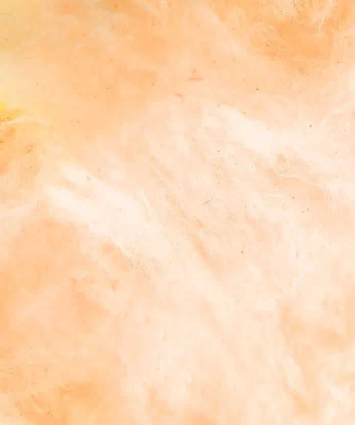 Close up on Flossie cotton candy in tangerine 