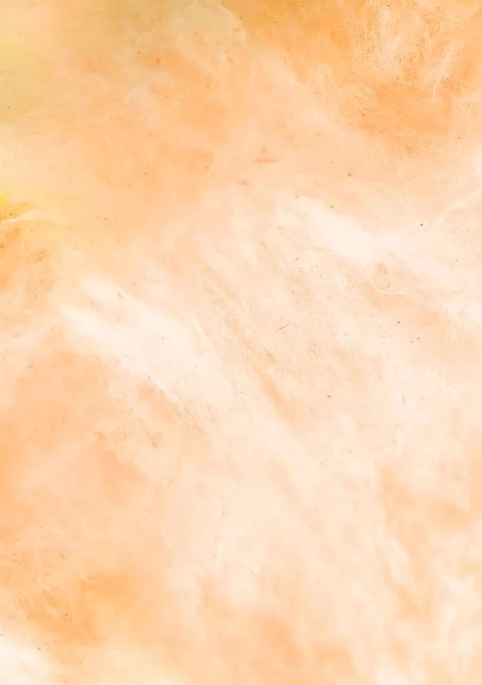 Close up on Flossie cotton candy in tangerine 